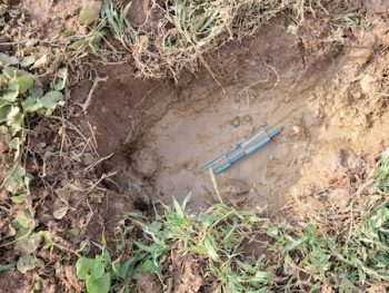 Sewer Line Repair Parkland Wa